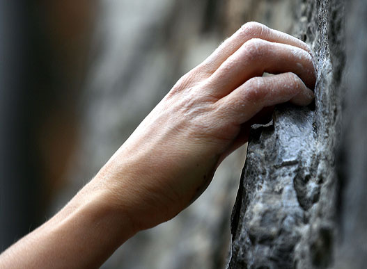 La main du grimpeur