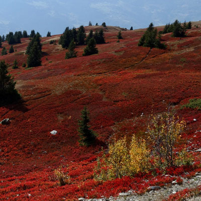 Autumn atmosphere in the Parc de la Vanoise